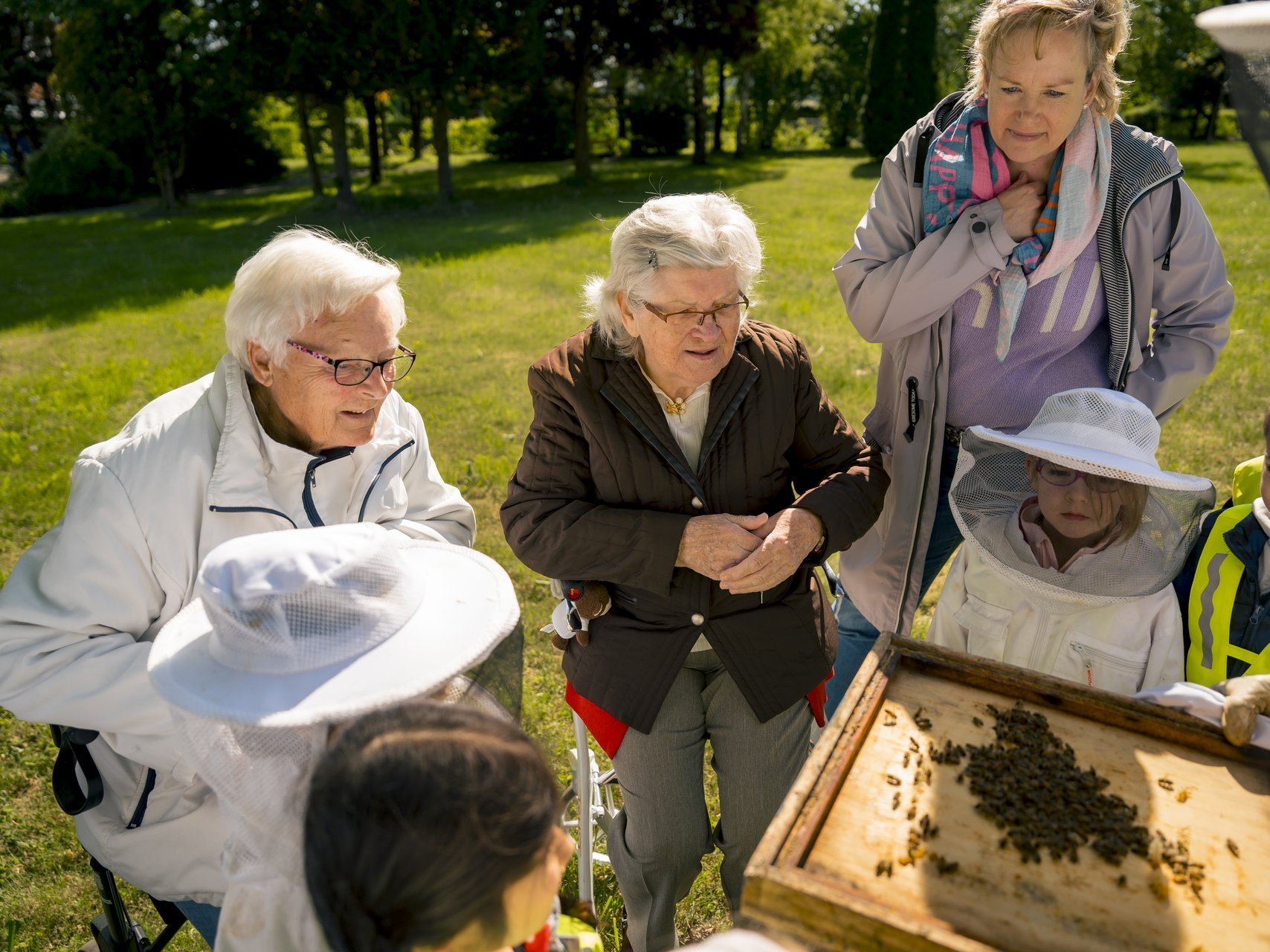 Eine interessierte Gruppe aus Menschen beugt sich neugierig über eine Bienenwabe, die voller Bienen ist.