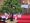 Segenbaum: Der Segenbaum steht vor dem Altar